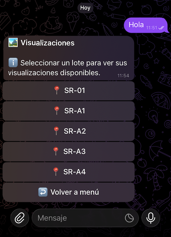 Selección de lote para visualizaciones